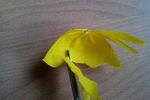 Метелики на стіну 